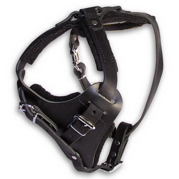 Agitation Leather Dog Harness for Black Russian Terrier